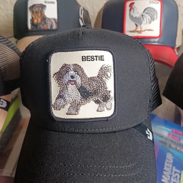 Gorra Goorin Bros (Bestie/Perro)